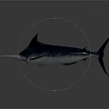 Swordfish With Silver Streamlined Body Long Bill And Dorsal Fin In Dark Background