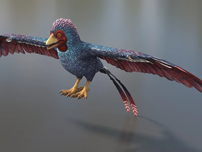 Colorful Flying Animal With Blue Body Red Wings Yellow Beak Claws And Long Tail Feathers 3d model