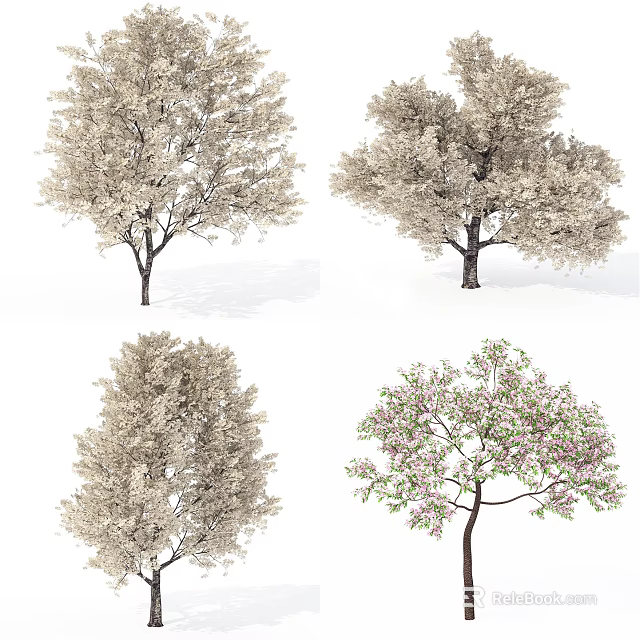 Various Flowering Trees With Pink Blossoms Green Leaves And Diverse Canopies 3d model 