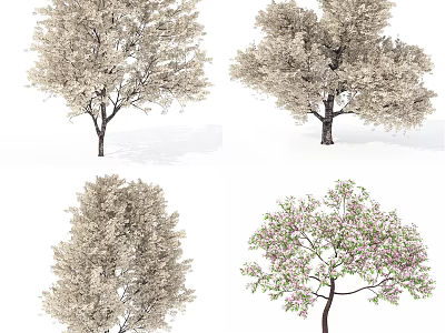 Various Flowering Trees With Pink Blossoms Green Leaves And Diverse Canopies 3d model
