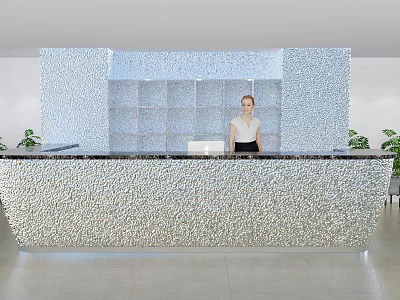Modern Front Desk Reception Area With Silver Paneled Wall Black Countertop And Green Plants 3d model