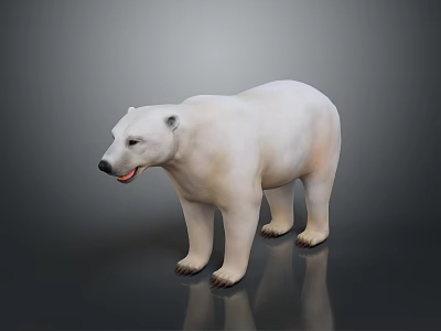 Realistic Polar Bear With White Fur Standing On Reflective Gray Surface 3d model