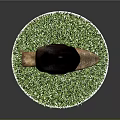Snail Cartoon Snail Snail Small Snail Reptile Cold Blooded Animal Reptile 3d model
