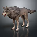Realistic 3D Wolf Model With Detailed Fur Open Mouth And Sharp Teeth 3d model