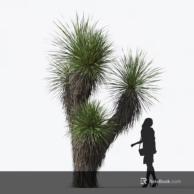 Green Foliage Plant With Thick Trunk And Woman Silhouette Standing Beside 3d model 