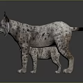 Alert Wild Lynx with Tufted Ears and Spotted Fur Standing on Dark Isolated Background