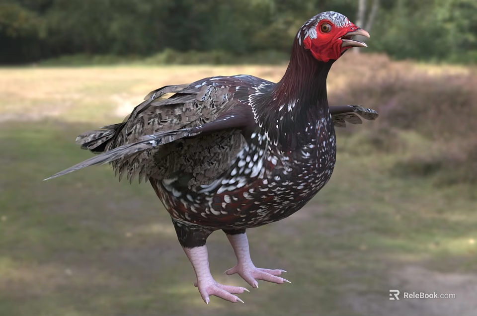 Spotted Reptile With Red Head Standing On Grass In Natural Woodland Habitat 3d model 