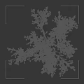 Flowering Tree With Pink Foliage Multiple Trunks And Silhouette Figure Standing Beside It