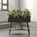 Indoor Garden Decor With Wooden Flower Stand Multiple Plants And Metal Watering Can