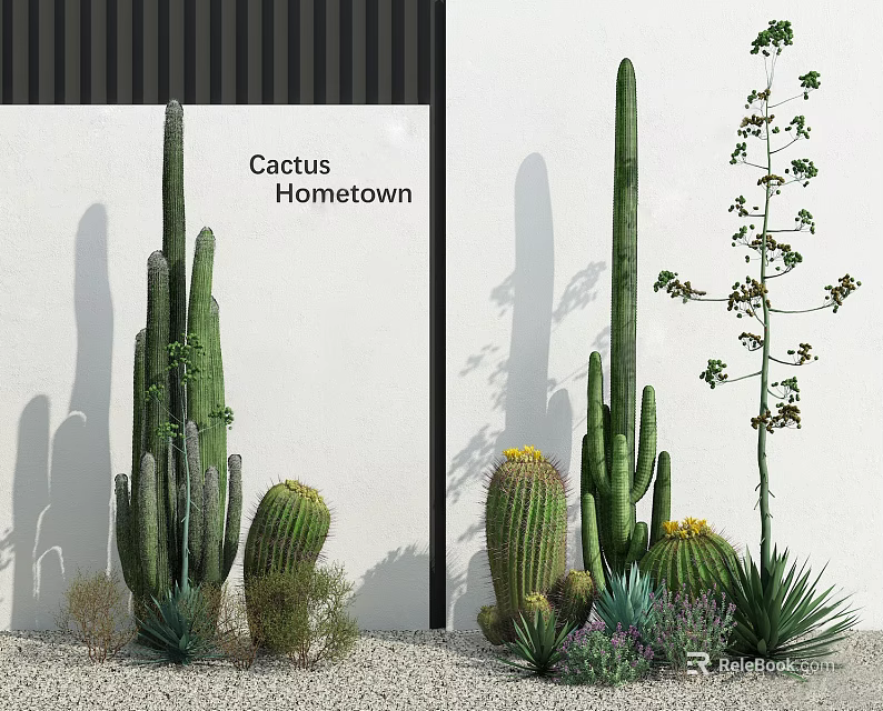 Cactus Hometown Potted Plants With Tall Columnar Round Cacti And Greenery 3d model 