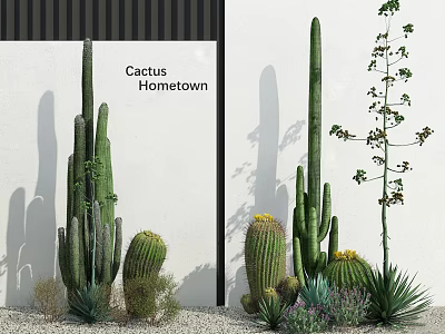 Cactus Hometown Potted Plants With Tall Columnar Round Cacti And Greenery 3d model