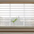 Modern White Venetian Blinds On Interior Window With Wooden Frame And Small Green Plant
