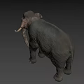 Realistic 3D Elephant Model With Detailed Skin Texture And Ivory Tusks