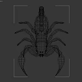 Realistic Green Scorpion 3D Model With Curved Tail And Sharp Claws
