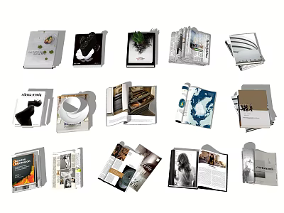 Assorted Books And Magazines Showcase With Open Pages Stacked Piles And Unique Covers 3d model