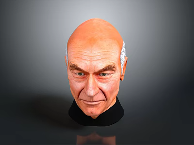 Decorative Bald Male Head Model With Gray Background And Black Base 3d model