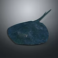 Dark Blue Stingray Marine Creature With Smooth Body And Long Tail