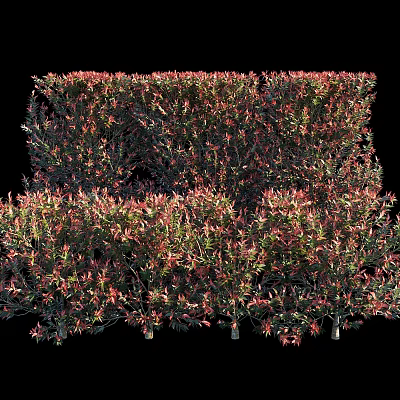 Ornamental Shrubs With Red And Green Leaves For Garden Landscape Design 3d model