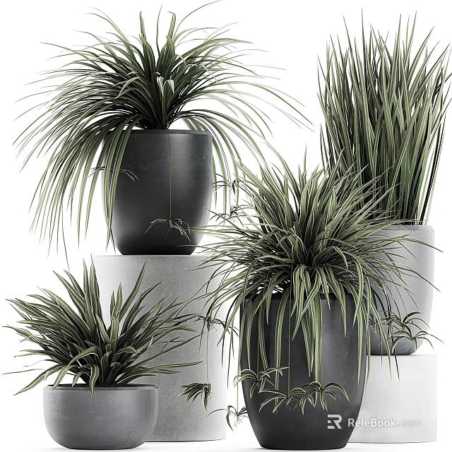 Bonsai Potted Plants Display With Long Green Foliage In Black And Gray Pots 3d model 