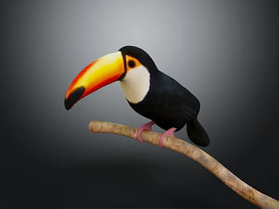 Toucan with Vibrant Orange Yellow Beak Perched on Wooden Branch Against Dark Background 3d model
