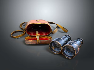 Vintage Brass Binoculars Display With Open Leather Case And Retro Design Details 3d model