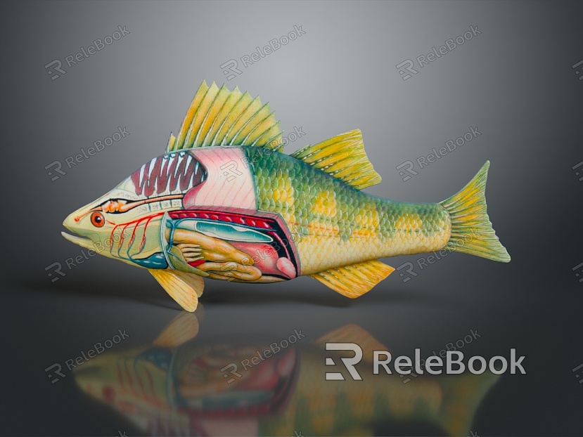 Fish Freshwater Fish Sea Fish Animal Game Animal Cartoon Animal Realistic Animal model