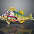 Colorful Aquatic Fish Anatomical Structure Displaying Internal Organs And Educational Details
