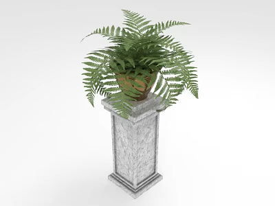 Green Potted Fern Plant Placed On Elegant Marble Pedestal For Indoor Decor 3d model