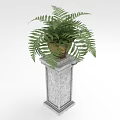 Green Potted Fern Plant Placed On Elegant Marble Pedestal For Indoor Decor