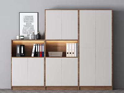 Modern White And Wood Bookcase With Cabinet Doors Files And Books 3d model