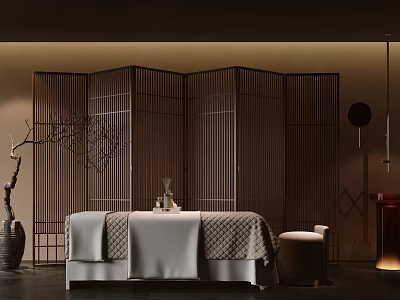 Elegant Modern Beauty Salon Room With Comfortable Bed Wooden Screen And Decorative Branch Vase 3d model