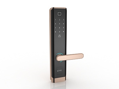 Fingerprint lock model