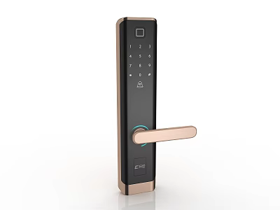 Smart Door Handle with Keypad Fingerprint Scanner Modern Black Rose Gold Secure Lock Design 3d model