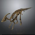 Dinosaur Organ And Hair Features In Skeleton Model With Orange Bone Structure