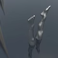 Smooth Legs With Dark Socks Tiptoes Upward Clear Visible Toes On Gray Background