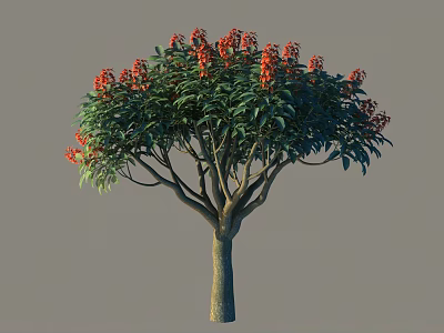 Lush Arbor With Green Foliage And Red Blossoms On Sturdy Branches 3d model