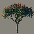 Lush Arbor With Green Foliage And Red Blossoms On Sturdy Branches