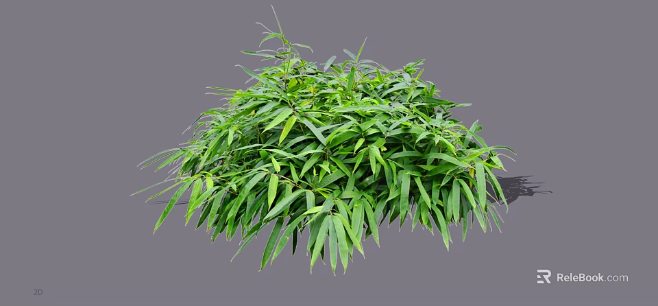 Lush Green Shrub with Dense Foliage and Vibrant Leaves in Garden 3d model 