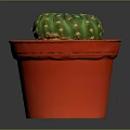 Decorative Green Cactus Houseplant With Yellow Spines In Red Pot And Brown Pebbles