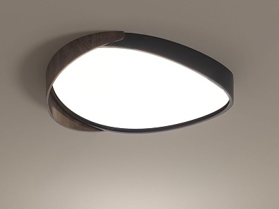 Modern Light Luxury Ceiling Lamp model