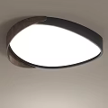 Modern Light Luxury Ceiling Lamp 3d model