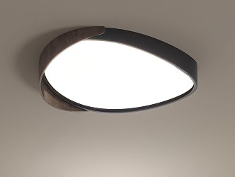 Modern Light Luxury Ceiling Lamp 3d model