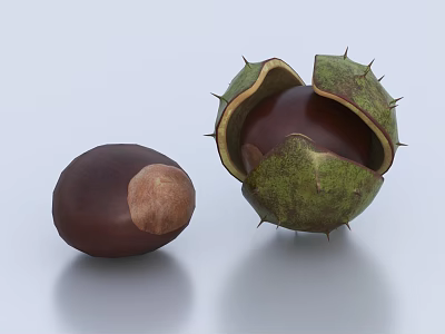 Whole Chestnut And Spiky Husk Split Open Revealing Fresh Kernel 3d model