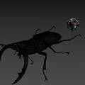 Large Brown Beetle With Antlers Next To Colorful Rubik's Cube On Gray Background