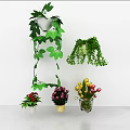 Bonsai Potted Plants With Hanging Vining Greenery Colorful Flowers And Various Pots On White Background
