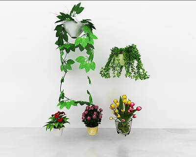 Bonsai Potted Plants With Hanging Vining Greenery Colorful Flowers And Various Pots On White Background 3d model