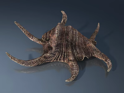 Tech Exhibition Hall Showcasing Brown Shell Shaped Object With Multiple Tentacles And Textured Surface 3d model