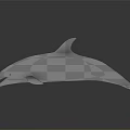 Realistic Silver 3D Dolphin Model With Glossy Surface And Reflection On Black Background 3d model