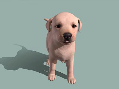 Light Pink Puppy Standing Against Light Green Background With Shadow 3d model