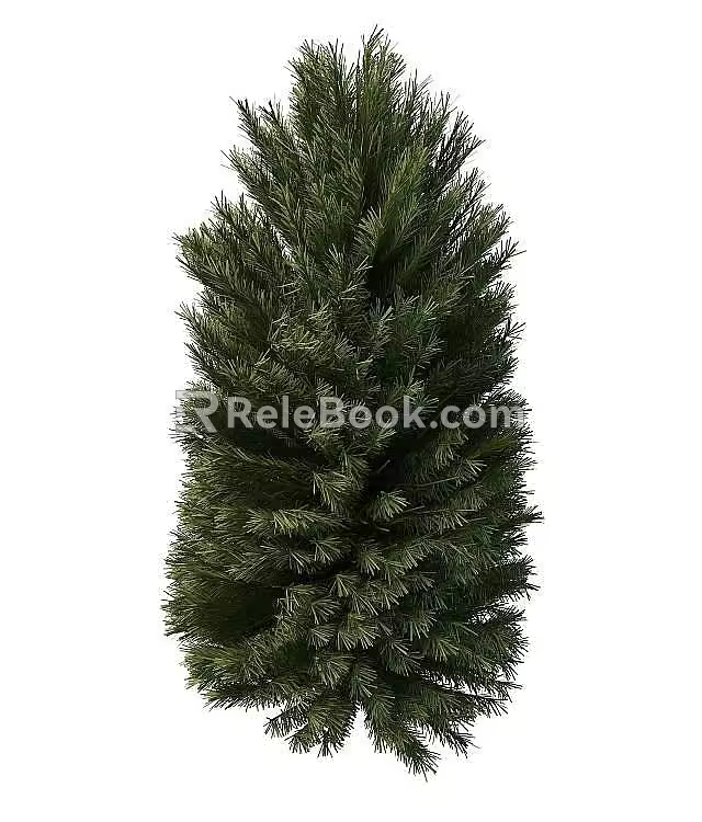 pine tree 3d model